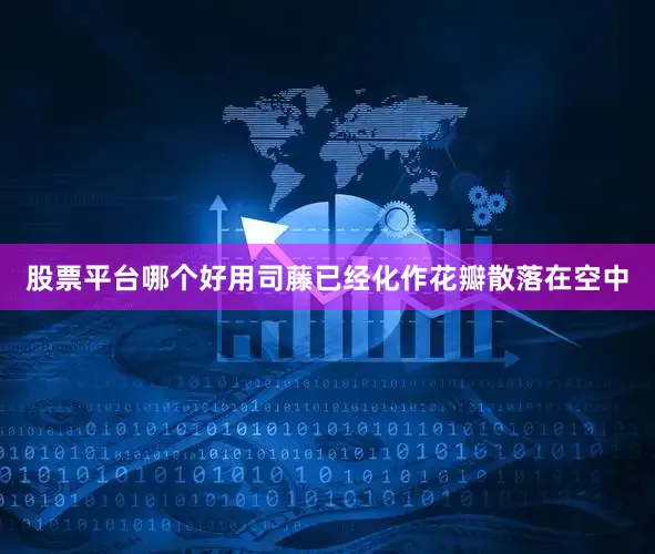 股票平台哪个好用司藤已经化作花瓣散落在空中