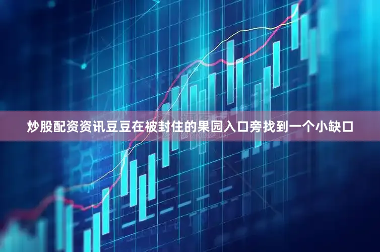 炒股配资资讯豆豆在被封住的果园入口旁找到一个小缺口