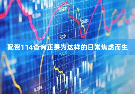 配资114查询正是为这样的日常焦虑而生