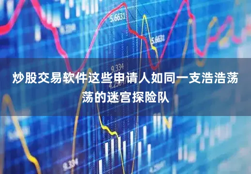 炒股交易软件这些申请人如同一支浩浩荡荡的迷宫探险队